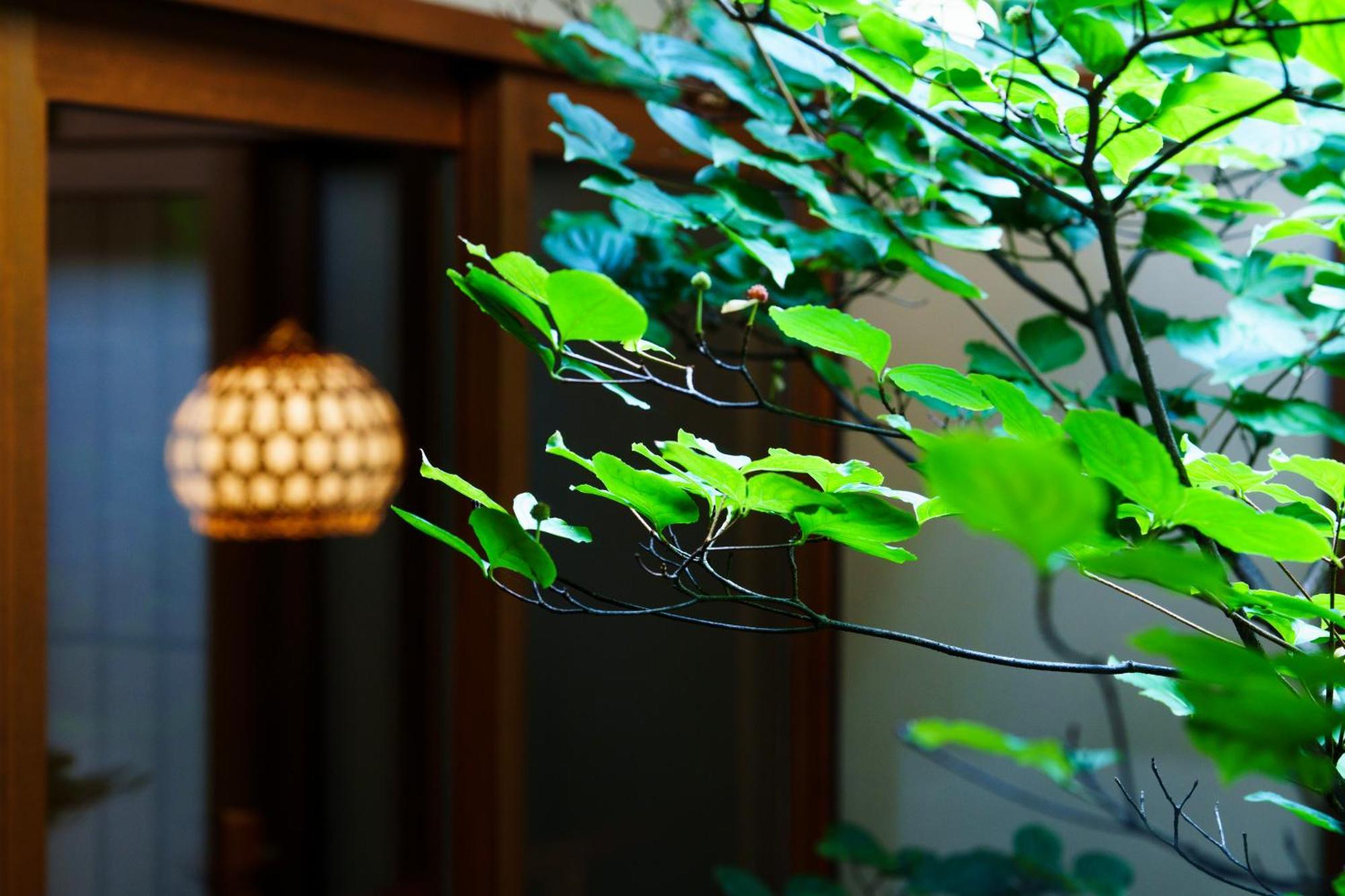 Hotori Villa Kiotó Kültér fotó